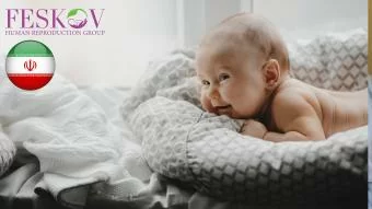 rewiews A****** et K*****